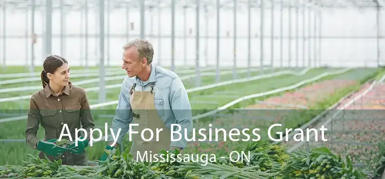 Apply For Business Grant Mississauga - ON